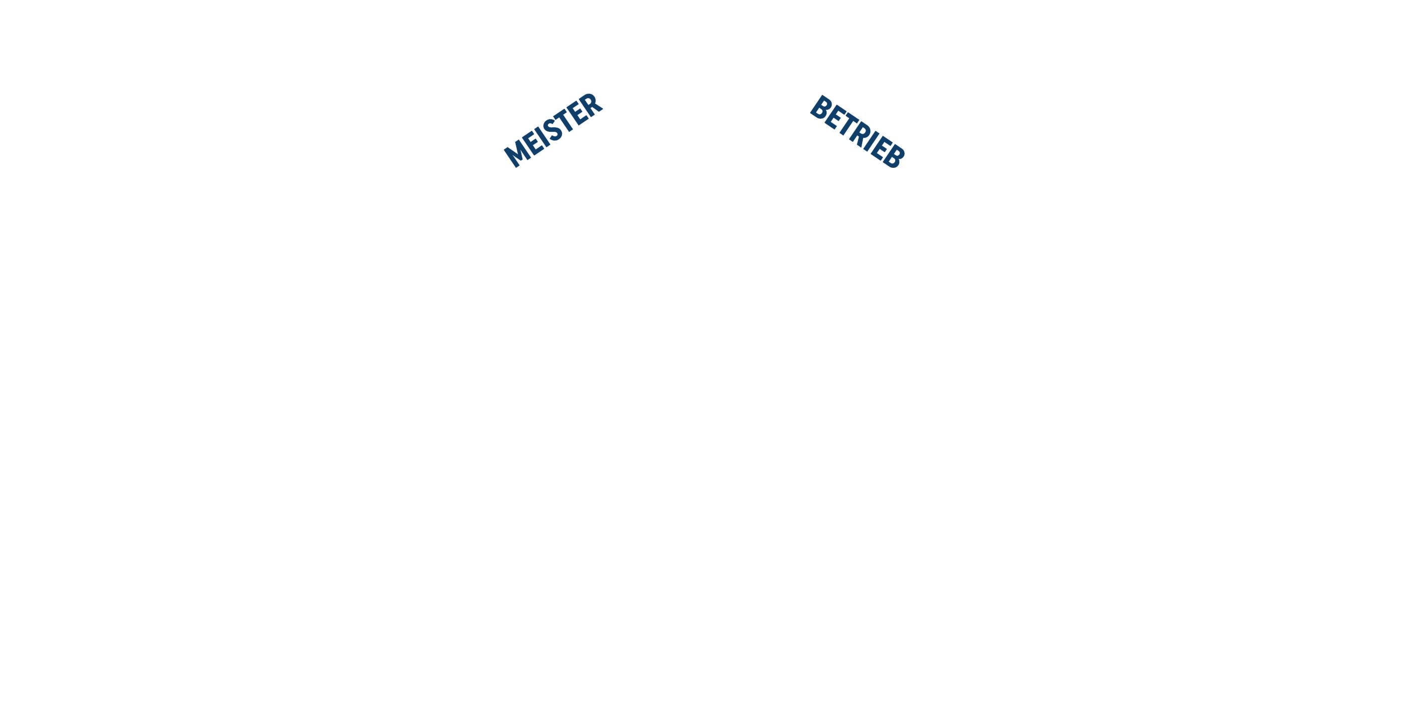 All Safety Security & Service Meisterbetrieb